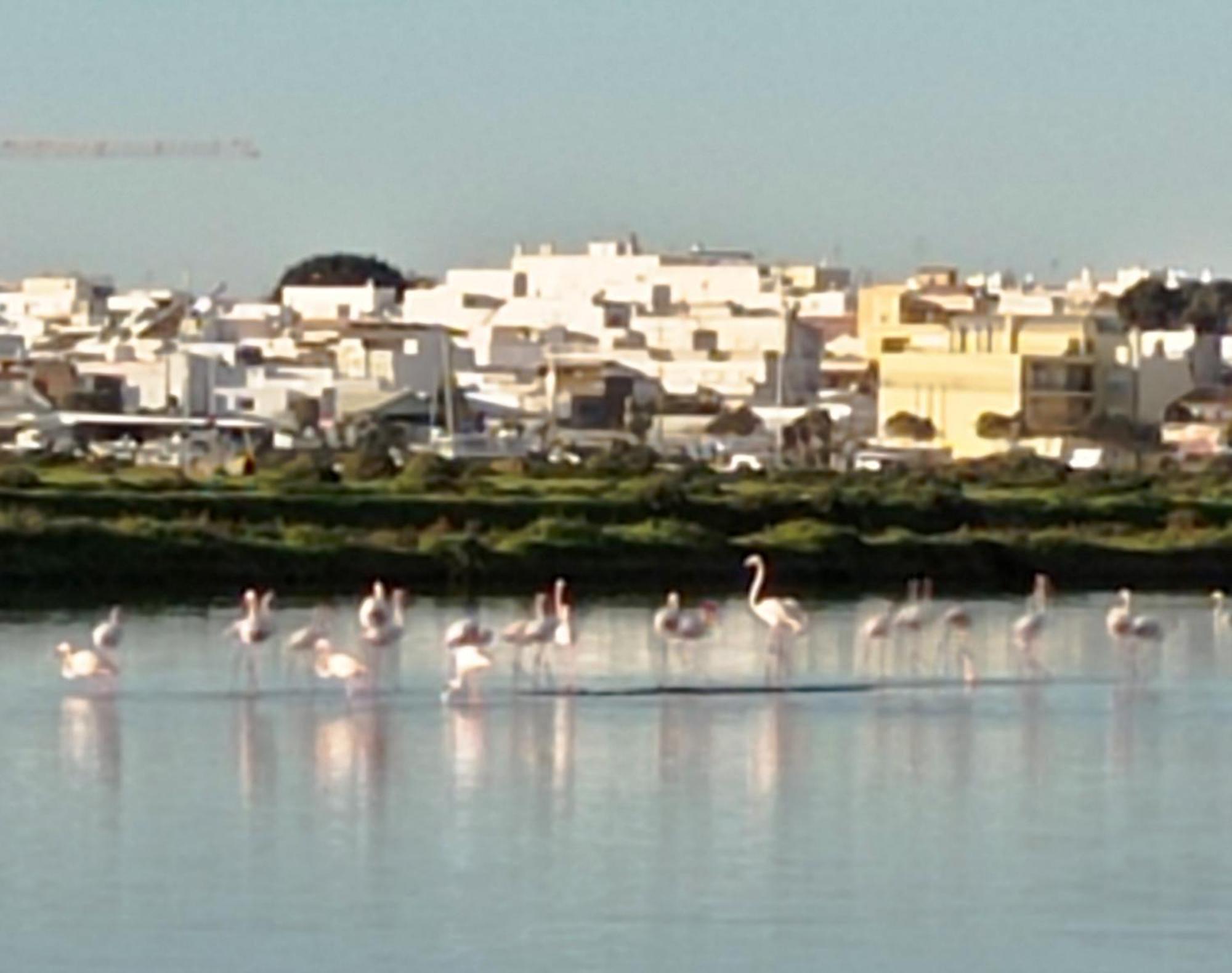 Hotel Casa Do Livramento Luz de Tavira Zewnętrze zdjęcie